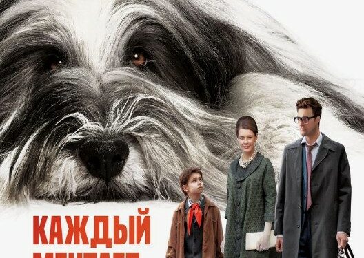 Фильм «Каждый мечтает о собаке» в кинотеатрах ДНР