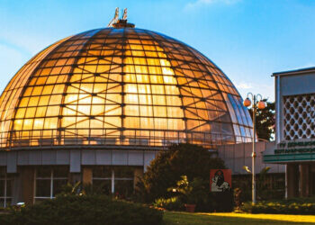 Оазис посреди шахт и терриконов: Донецкий ботанический сад отмечает 60 лет