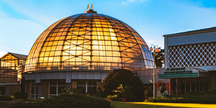 Оазис посреди шахт и терриконов: Донецкий ботанический сад отмечает 60 лет