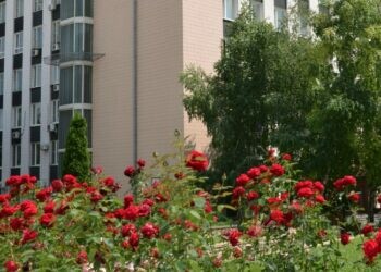 20 направлений, двойные дипломы и стажировки за границей — всё о ДонАУиГС