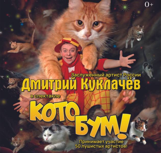 Театр кошек Куклачева покажет спектакль «Кото Бум» в Донецке